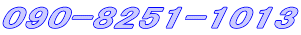 090-8251-1013